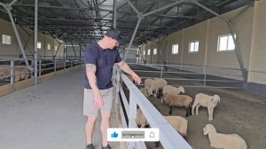 Современное подсобное хозяйство. Республика Адыгея! Обзор фермы, хозяйство мечты!