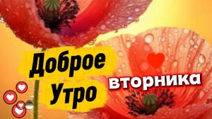 Доброе утро вторника – открытка с пожеланиями на середину недели