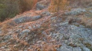 Закат на Ладожском озере.
