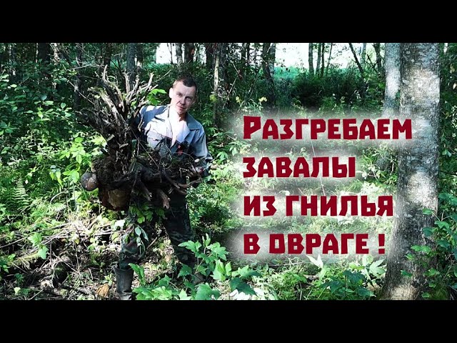 Мы начали строить мост через овраг между двумя участками!