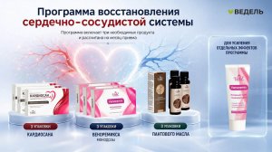 Ритм жизни. Как поддержать сердце, сосуды и сохранить энергию летом