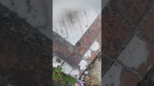 Асмр дача