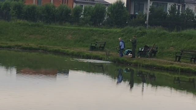 поимка линя на малом водоёме смотреть онлайн