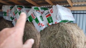 Загон для коз своими руками. Мой процесс строительства. Советы и тонкости
