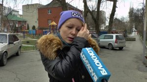 «Свора бродячих собак не щадит никого» - анапчанка о псах, разорвавших её кота