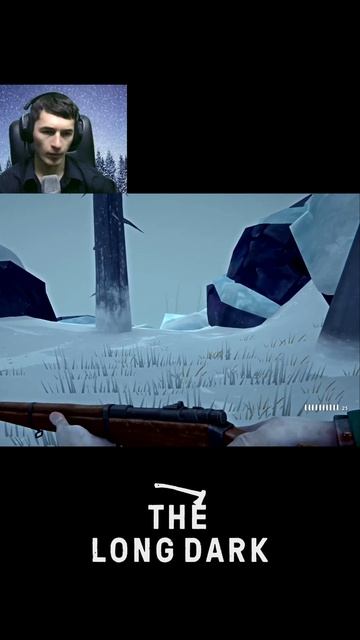 The Long Dark: Волчья тропа | Нарезки со стримов 2023-2024 год