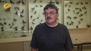 МЕТОДИСТ МУЗЕЯ ПРИРОДЫ ЦДТ НИКОЛАЙ ДЕГТЯРЕВ ПРИЗЫВАЕТ НЕ БРАТЬ В РУКИ ПЛОХО ЛЕТАЮЩИХ ПТЕНЦОВ