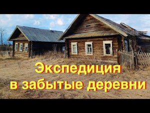 Заброшенная деревня в Костромской области. Дома хоромы в глуши. Все оставлено
