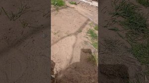 Видео не будет около 3 недель! 😥