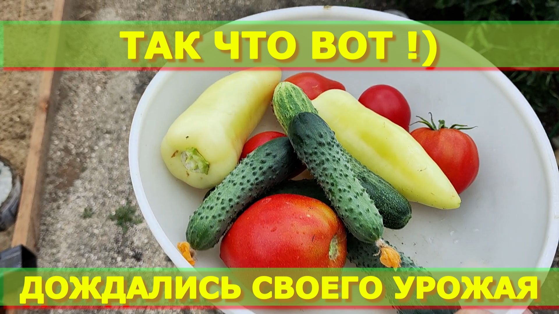 126. Проблема с Рутубом. Дождались урожая. Убрала лук. смотреть онлайн