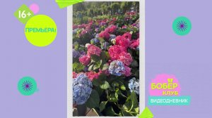 ПРЕМЬЕРА! Бобёр.клуб. Видеодневник. Образовательный проект (16+)