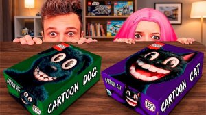LEGO НАБОР КАРТУН КЭТА И КАРТУН ДОГА В 3:00 НОЧИ — ВЫ НЕ ПОВЕРИТЕ, ЧТО ПРОИЗОШЛО!!!