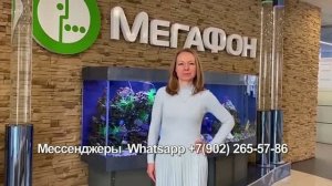 Женщины с мегафон поздравляют весело мужчин на 23 февраля