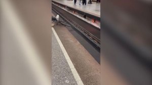 На станции метро «Партизанская» юноша едва не слетел на рельсы после трюка