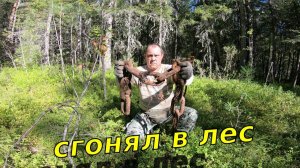 Сгонял в лес_Поискал железо_Нашёл корабельную цепь_Собрал черники
