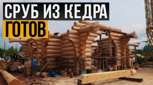 КАК МЫ РУБИМ СРУБ? Сруб для дома из кедра готов на площадке!