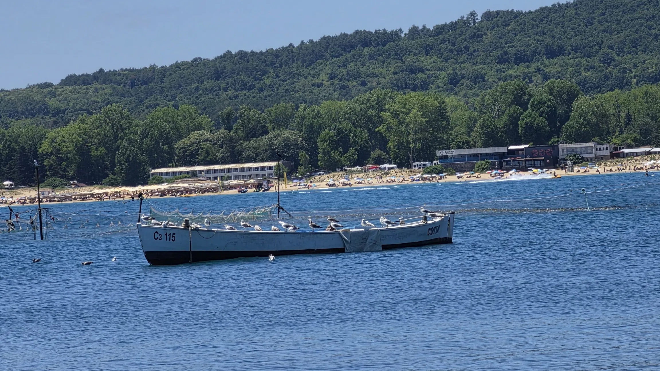 Дикие пляжи🌴 Чёрного моря.