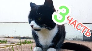 Гуляем по ЖК КВАТРО 3 ЧАСТЬ☯️