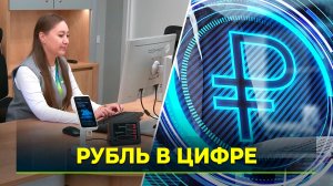 Дата запуска цифрового рубля и правила его использования