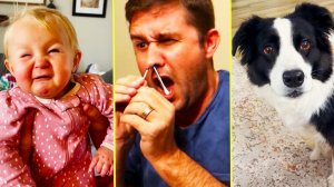 America′s Funniest Home Videos 💥 Best TikToks of 2026 Rewind 💥 TikToks You Can’t Stop Rewatching