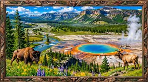 🌋 Йеллоустон — потрясающий национальный парк | Виртуальное путешествие в сердце дикой природы.