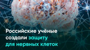 Российские учёные создали защиту для нервных клеток