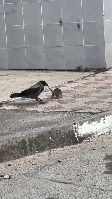 Достала! 😡 🤭