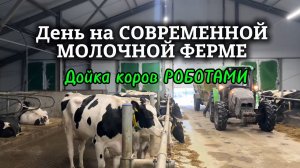 Работа на СОВРЕМЕННОЙ МОЛОЧНОЙ ФЕРМЕ | Коров доят РОБОТЫ | Первая РОБОТИЗИРОВАННАЯ ферма в ОБЛАСТИ