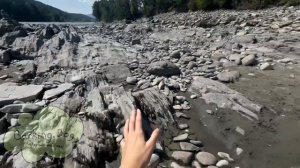 Влог как я была на речке🌊🌳🐾