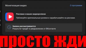 Как долго подключают монетизацию в ВК видео ?