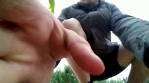 Дмитрий Гаврилкин - Кукурузная Прогулка Летом На Прикамском - 2024