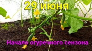 8 градусов... Где ты, ЛЕТО?