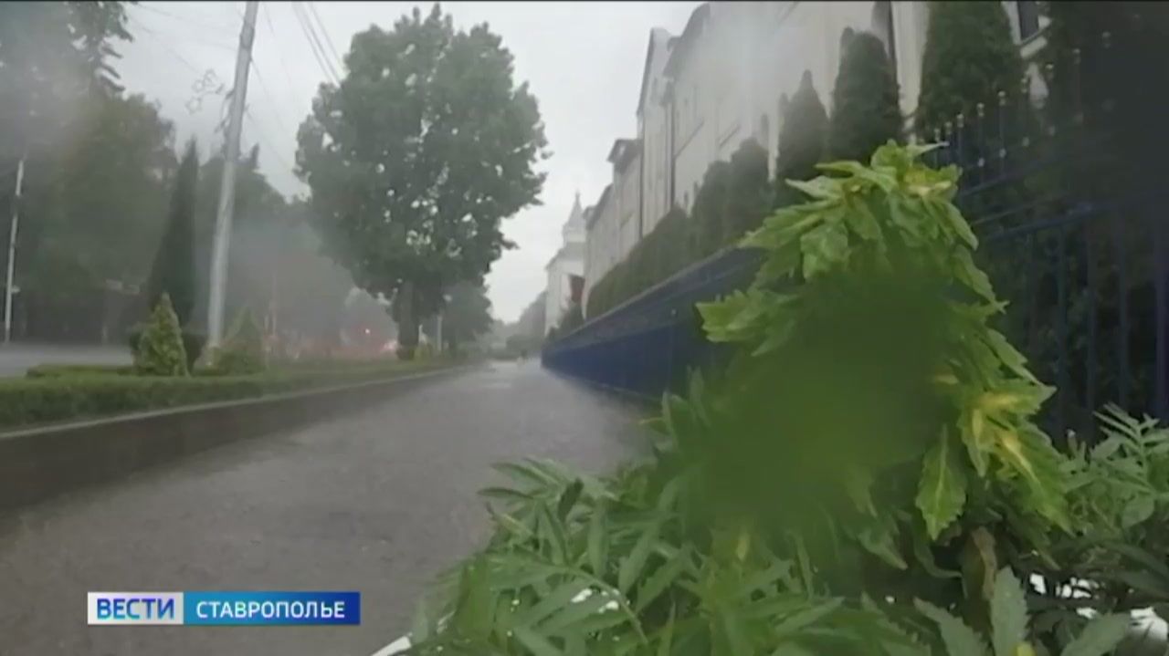 Вести. Ставропольский край» 29.06.2026 (11.30)