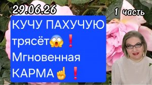 1 часть. КУЧУ ПАХУЧУЮ трясёт😱❗️Мгновенная КАРМА☝️❗️