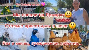 29-06-2026/Переезд из Сибири на юг/Грандиозная ярмарка //Мы в шоке//Такое надо видеть//1 часть //