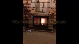 Мастерская каминных дверей - дверь для камина двустворчатая