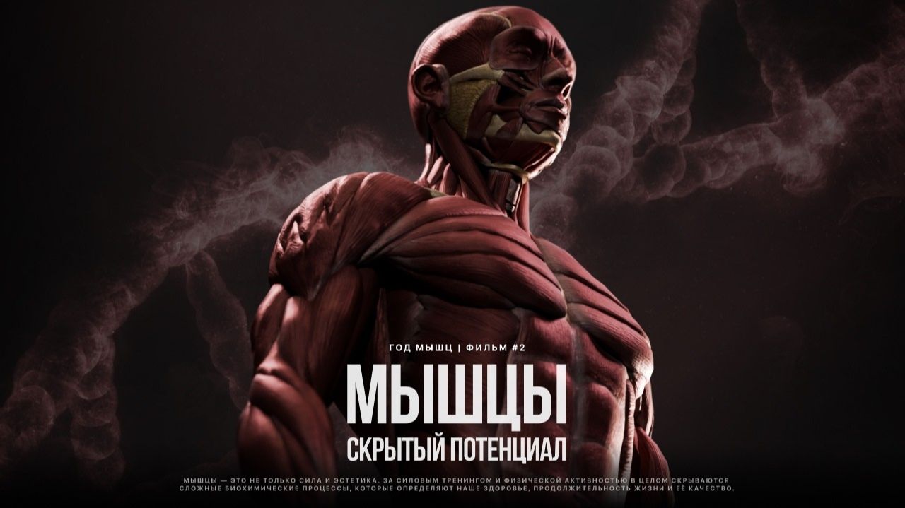 (BIOMACHINE)КАК ТРЕНИРОВКИ МЕНЯЮТ ТЕБЯ ИЗНУТРИ. От мозга и психики до  гормонов.