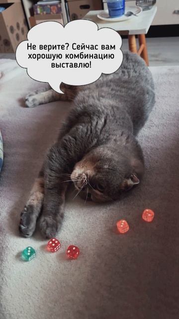 Shorts: КошКомиксы