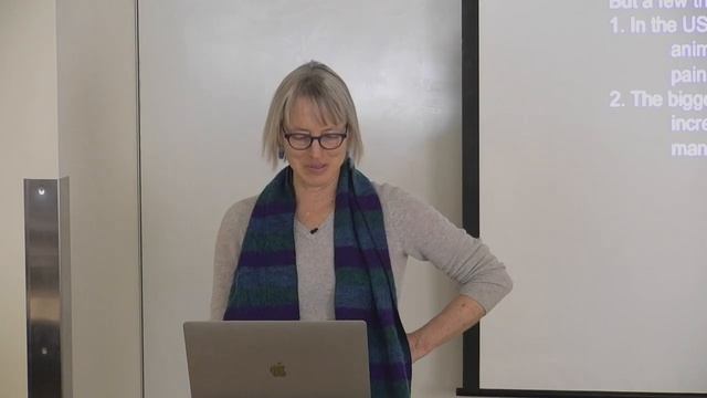6. Introduction to the Human Brain смотреть онлайн