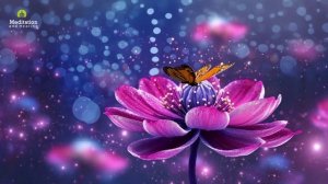 Музыка для Для Медитации и Снятия Стресса