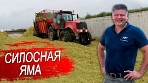 Трамбовка силоса. Заготовка силоса 2021. Часть 2.
