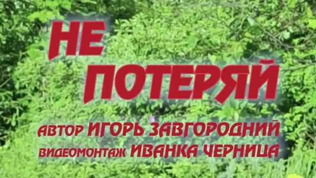 НЕ ПОТЕРЯЙ   Игорь Завгородний    Иванка Черница