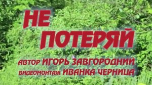 НЕ ПОТЕРЯЙ   Игорь Завгородний    Иванка Черница