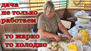 Дача.Ветер повалил все помидоры.Огурцы плохо растут.Ночи не теплые