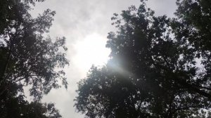 29 июня Магический ☀️ прогноз погоды от волшебника Ивана Ивановича Кулебякина из Москвы