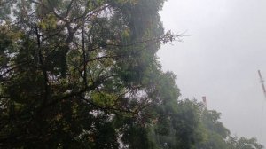 Доброе утро понедельника..На КМВ опять дожди...