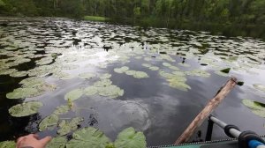 Полная стройка лесной беседки. Летний домик своими руками из валёжника