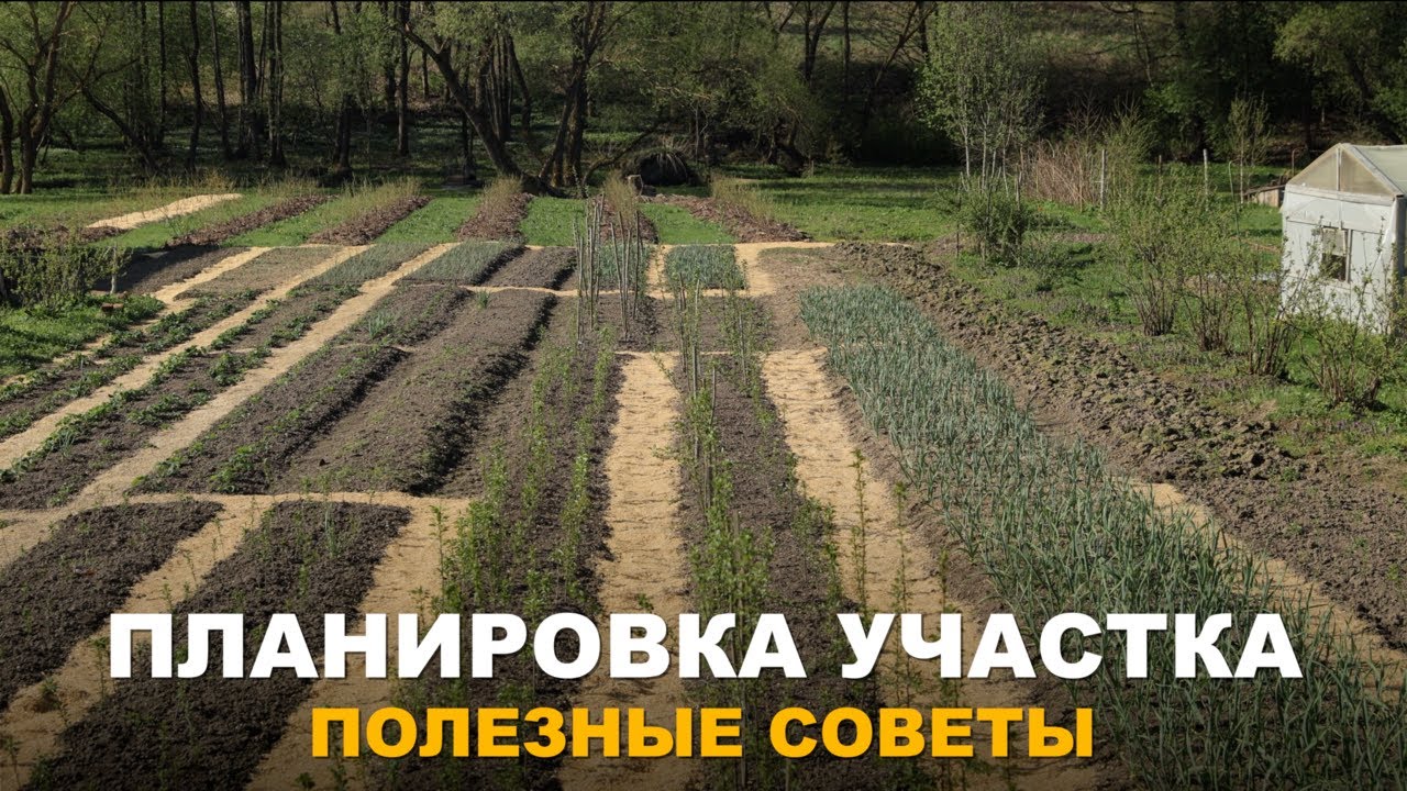 САМОЕ ВРЕМЯ ПОДУМАТЬ НАД РАСПОЛОЖЕНИЕМ БУДУЩИХ ПОСАДОК. Планировка огорода и сада. смотреть онлайн