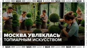 В Москве появился тренд на топиарное искусство - Москва 24
