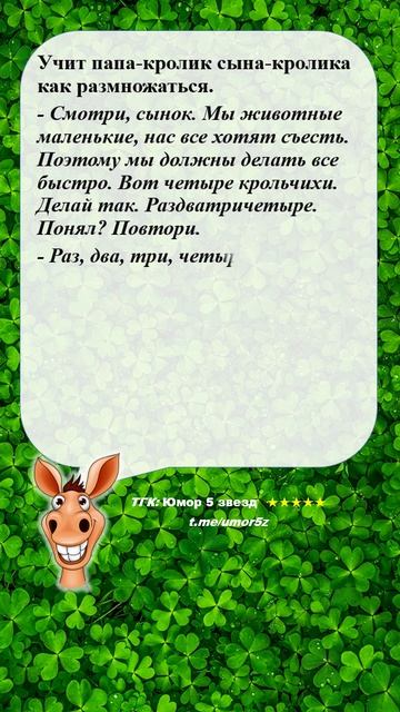 Юмор 5 звезд - #юмор #смешно #ржач #прикол #анекдот #веселоевидео
